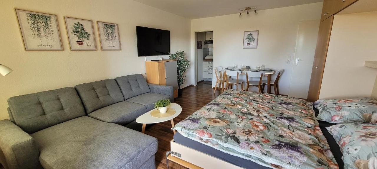 Anna Altreichenau Apartment Нойрайхнау Екстериор снимка